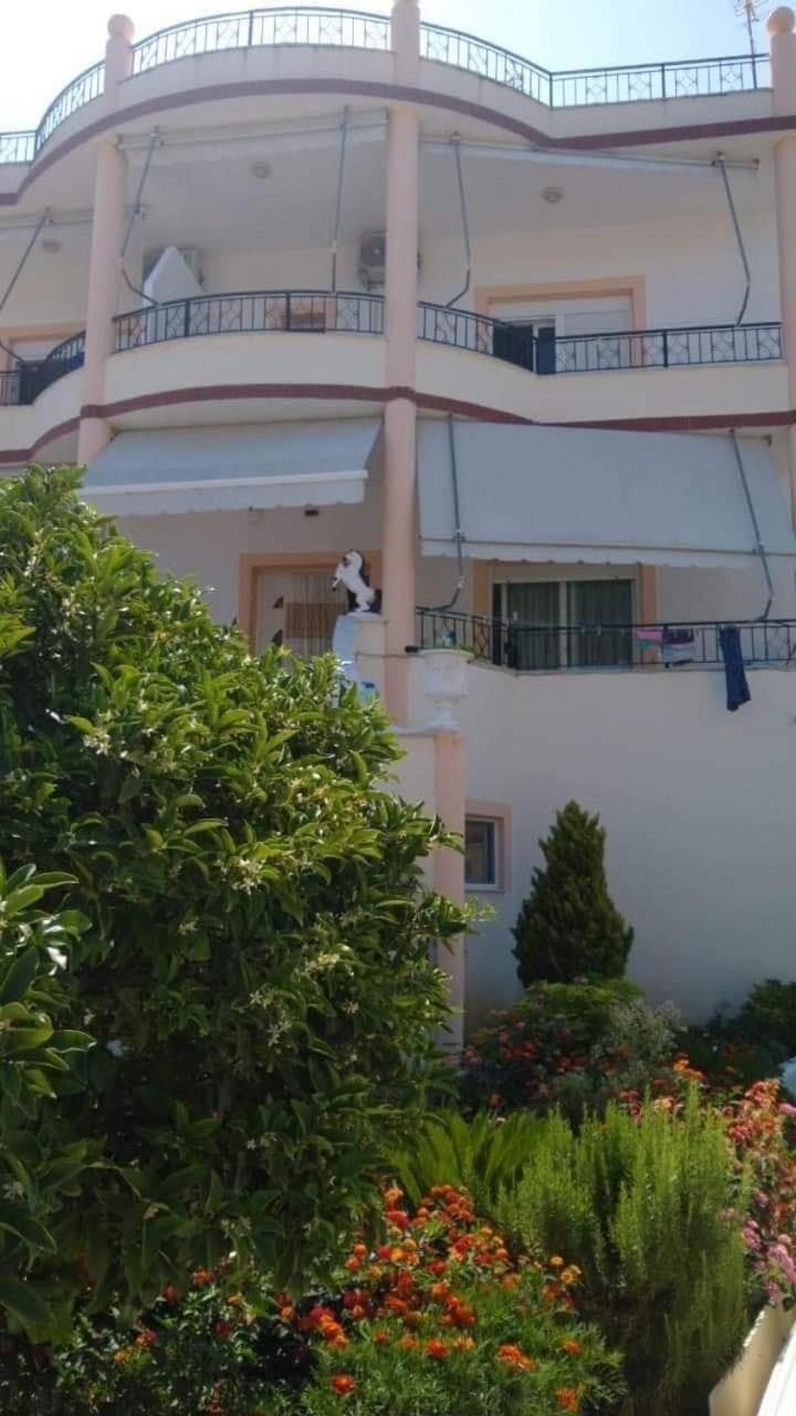 Apartments Rudi Orikum Exterior photo